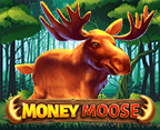 Money Moose